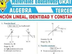 Concepto De Constante En Estadística: Definición y Aplicaciones