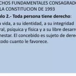 Concepto De Derechos Constitucionales: Fundamentos y Su Importancia en la Sociedad