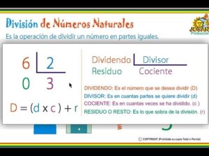 Concepto De Dividendo En Matemáticas: Definición y Ejemplos Clave