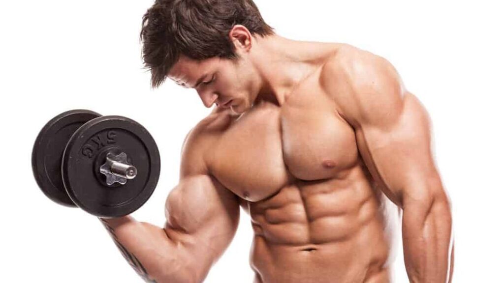 Concepto De Fuerza Muscular En Educación Física: Definiciones Clave