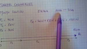 Concepto De Fuerzas Colineales: Definición y Ejemplos Prácticos en Física