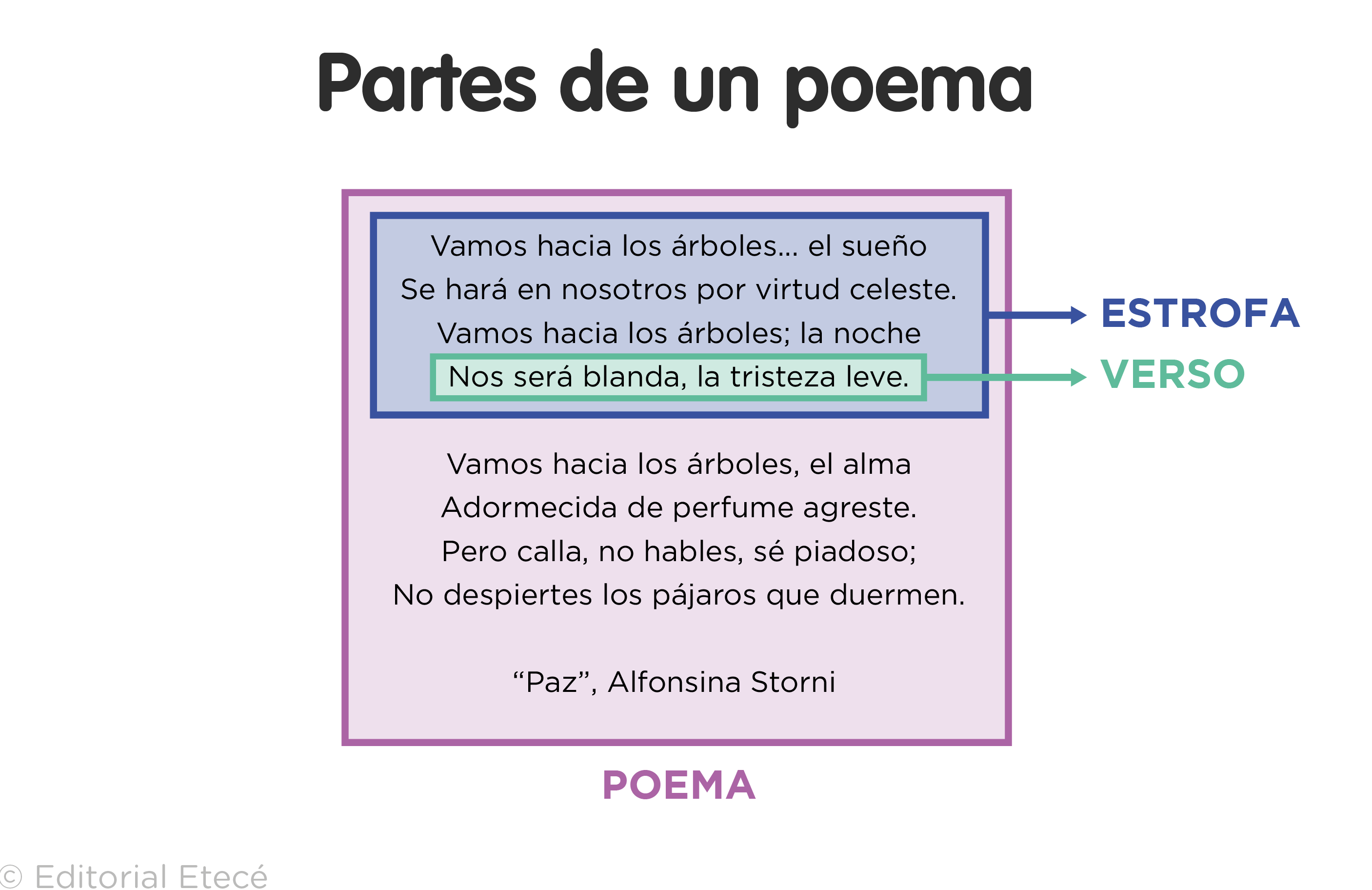 Concepto De Poema En Verso: Definición, Características y Ejemplos Clave