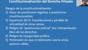 Constitucionalización Del Derecho Privado: Concepto y Relevancia Jurídica
