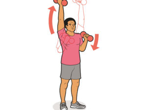 Fuerza De Brazos: Concepto y Su Importancia en la Actividad Física